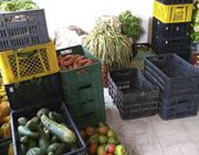 Mercados_3